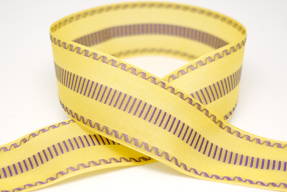 Zig Zag et Costae Taenia