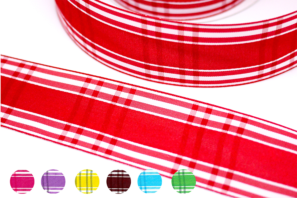 Pidd Ribbon 1.5