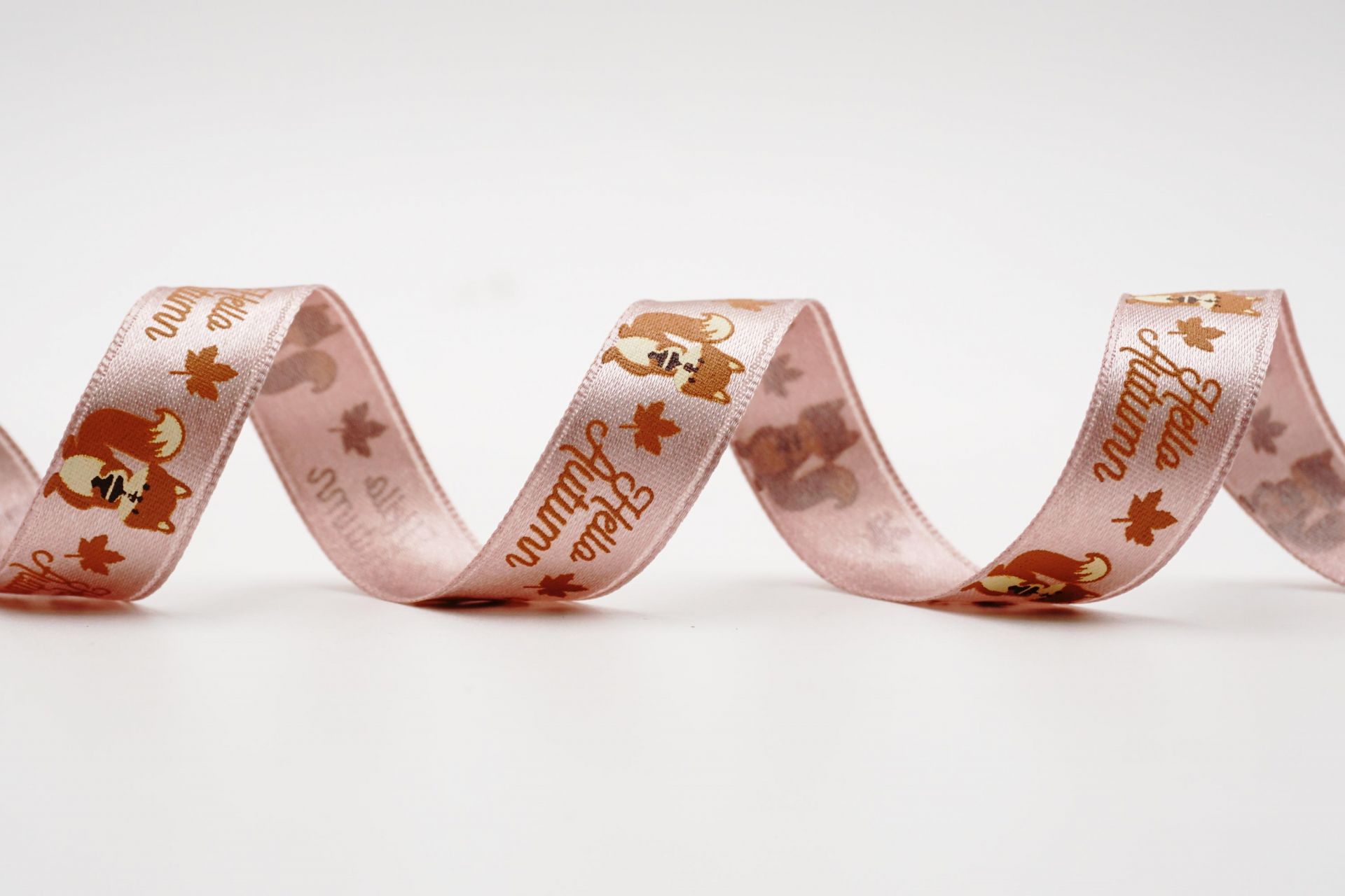 Autumn Squirrel Ribbon - Fall Decorative Printed Ribbon | KING YOUNG