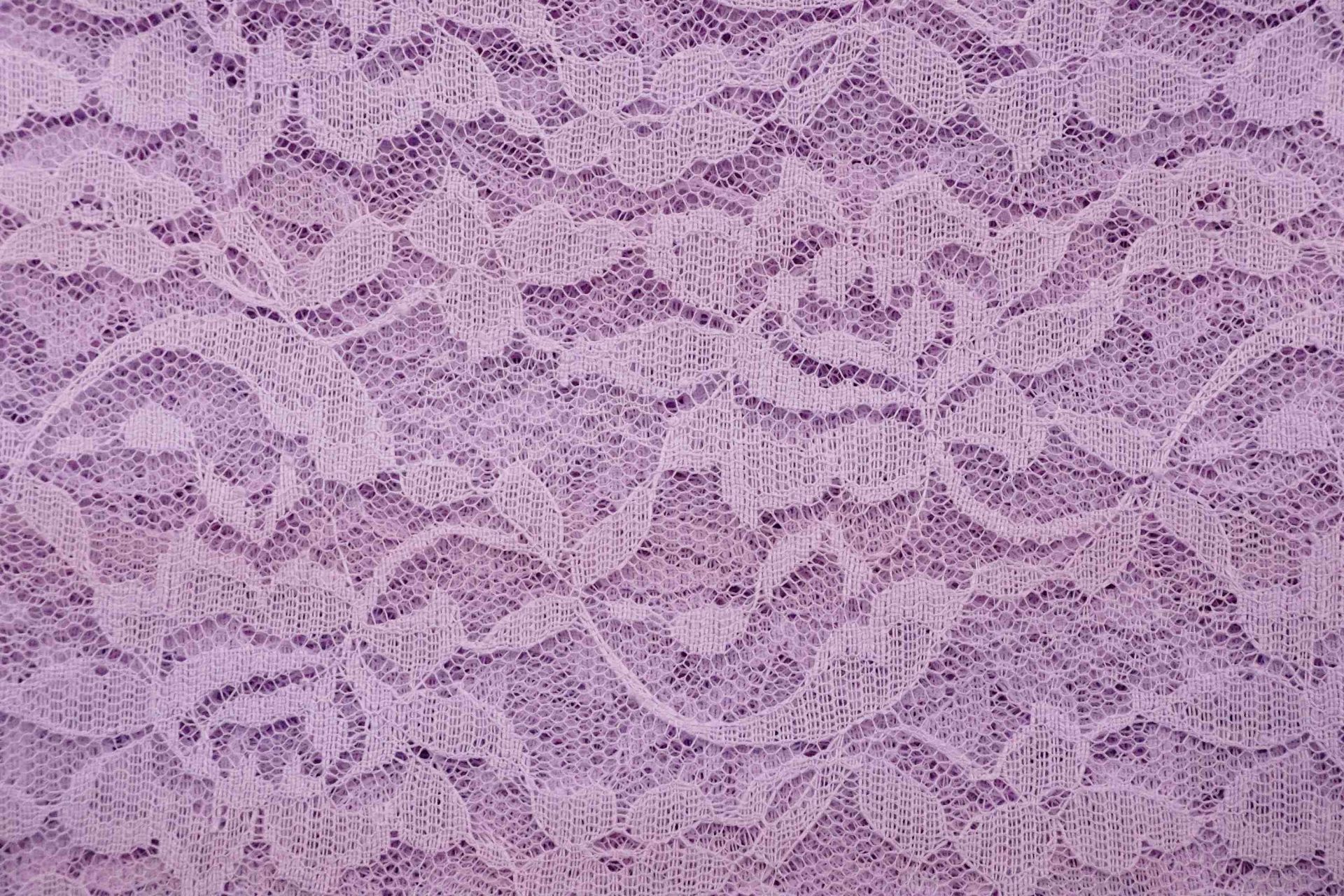 Tela de encaje de hojas y flores - KING YOUNG, image size:1920x1280