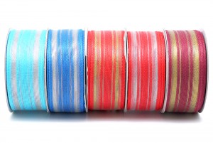 Taenia Texta_K984 - Taenia Texta (K984)