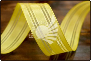 Wired Ribbon_W818 - Wired Ribbon (W818)