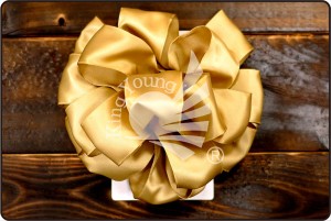 Pom Pom Bow - Pom Pom Bow (BW349-TSW-T559)