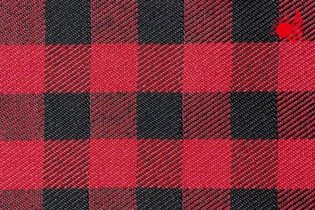 Classic Gingham Cloth/red, black 24-9