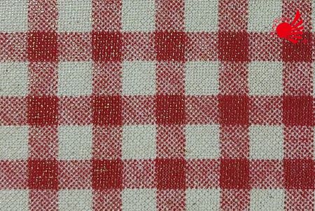 Classic Gingham CLoth/red 27-3