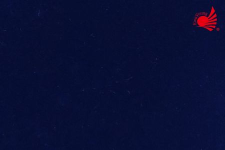 Tela de terciopelo/azul marino 28-9