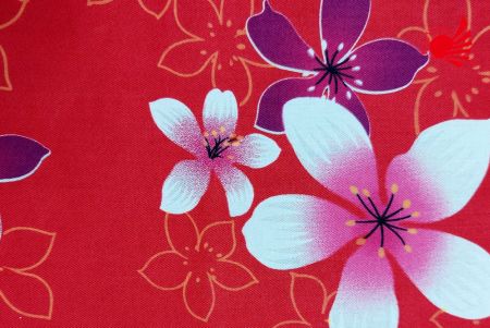 Tajwańska uproszczona tkanina kwiatowa Hakka 3-3