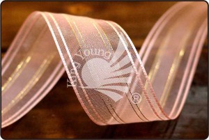 Satin-stitching Edge Organza Fancy Ribbon - Satin-stitching Edge Organza Fancy Ribbon