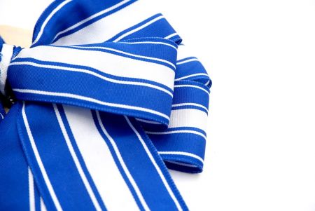 Blue and White Grosgrain Stripe Double 2 Loops Ribbon Bow_BW639-W804E-6
