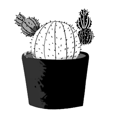 Cactus04