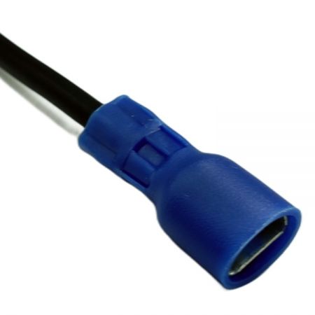 The terminal end of the wiring, connected to the fuse holder.