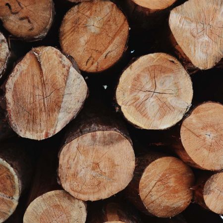Dodržování závazku k environmentální udržitelnosti