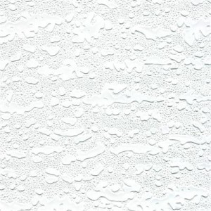 PVC 石膏天花板