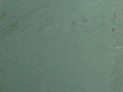 Alumium pet foil - Alumium pet foil