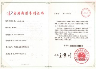 Патент на полезную модель - Светопроводящая пластина LED (Китай) 2004 2 0000650.8