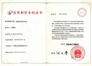 Gebrauchsmuster Patent - Innovative Verkehrssignalstruktur (China) 2004 2 0077272.3