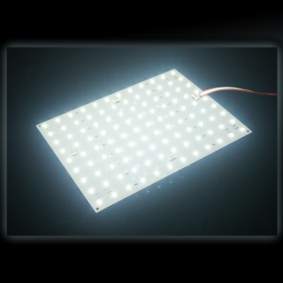 LED plate light and lighting box