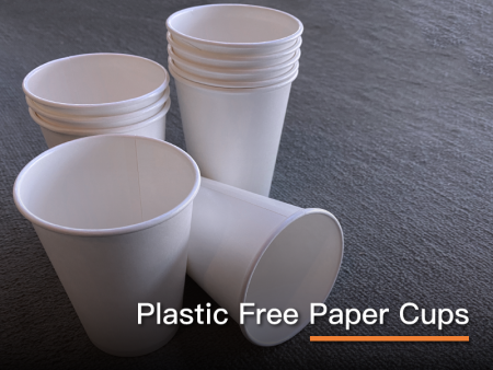 Gobelets en papier sans plastique