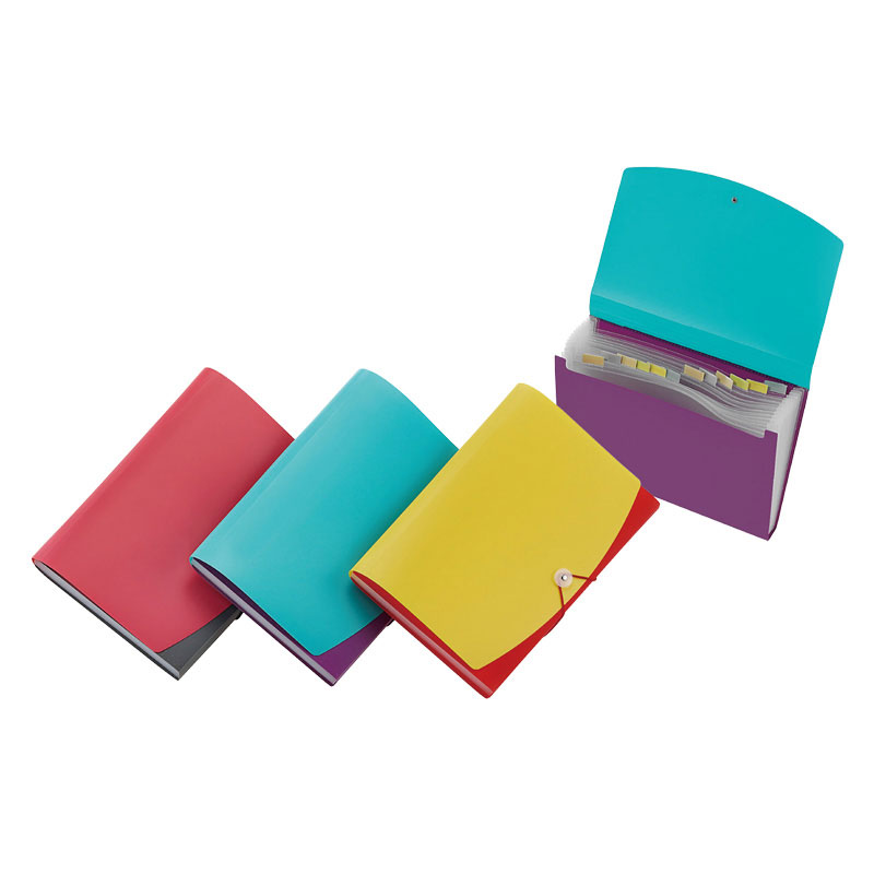 Organisateur de dossiers en plastique - poignée portable expansible A4 - 13  poches - multicolore - (Prix en fcfa)