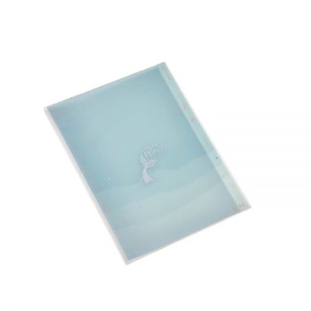 Plastic PP Display Books for Classroom