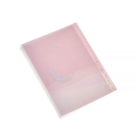 Clear Book Files with Shiny Cover