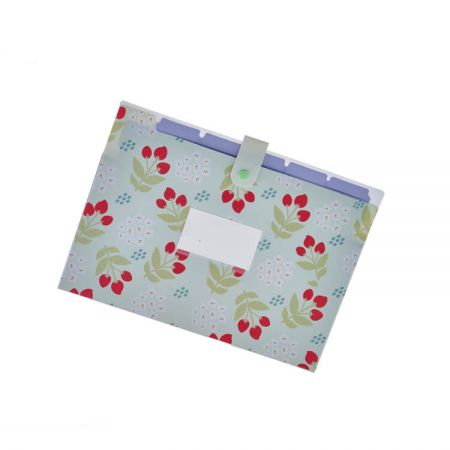 Pastas Organizadoras