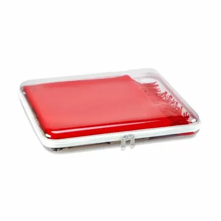 Clear Hard Zipper Case- L - Transparent PET zipper case
