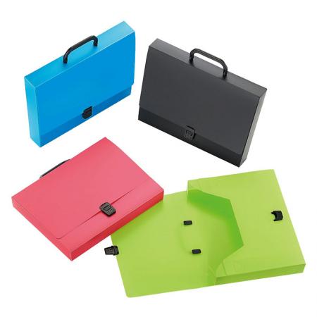 Document Case with Handle - Durable plastic document case with carrying handle