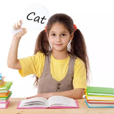 Paddle Redondo de Apagar a Seco