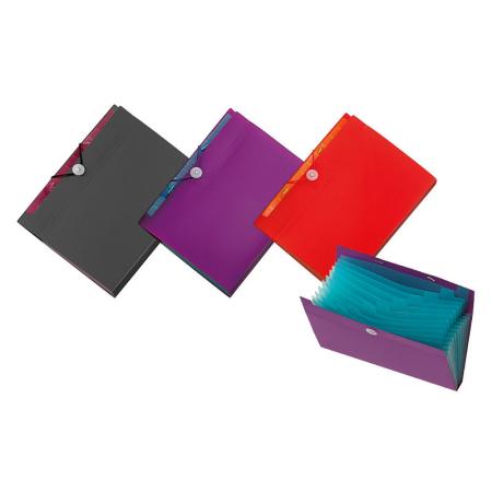 Frisbee Expanding File - Colorado Quick-close Expanding File