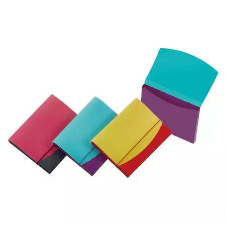 String Document Case - Colorado Document Case