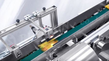 電眼偵測與剔除裝置