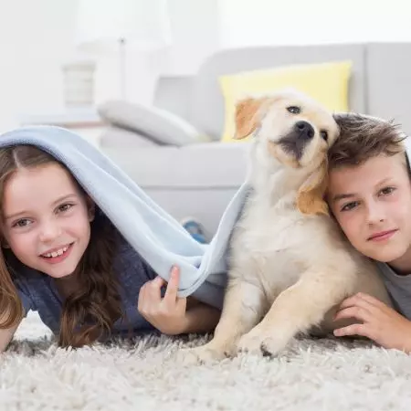 抗菌成品 - 抗菌成品