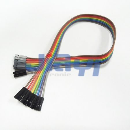 Assemblage de câbles et de connecteurs Dupont à pas de 2,54 mm