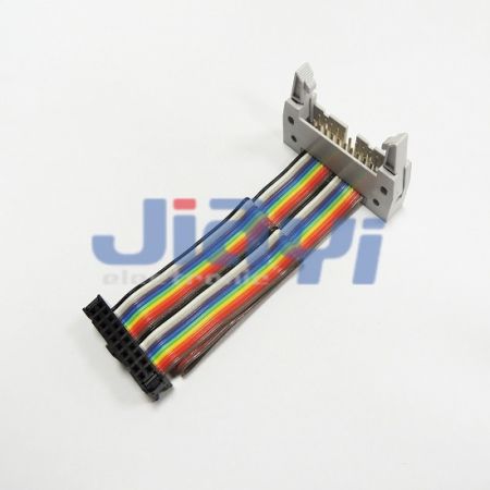 Rainbow Wire Flat Ribbon Cable Assembly