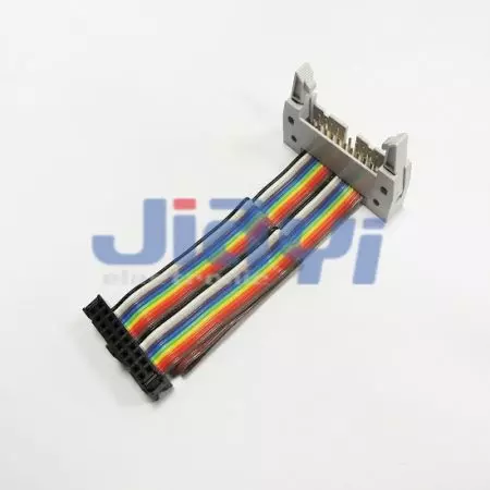 Rainbow Wire Flat Ribbon Cable Assembly - Rainbow Wire Flat Ribbon Cable Assembly