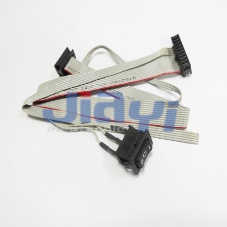 Custom Design Ribbon Cable Assembly