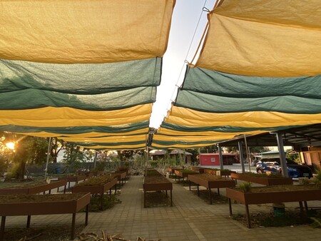 Toldo em Dois Tons em Forma de Onda para Área de Plantio ao Ar Livre