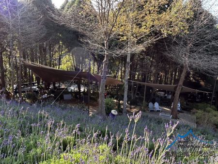 Sail Shades for Forest Recreation Areas - Custom Sail Shade