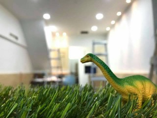 Artifical Grass