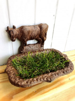 Artifical Grass