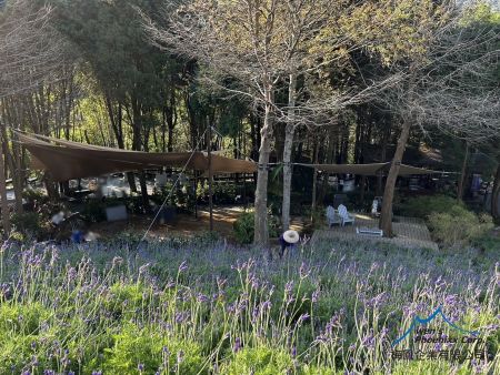 Orman için Yelken Gölgeli Çadır