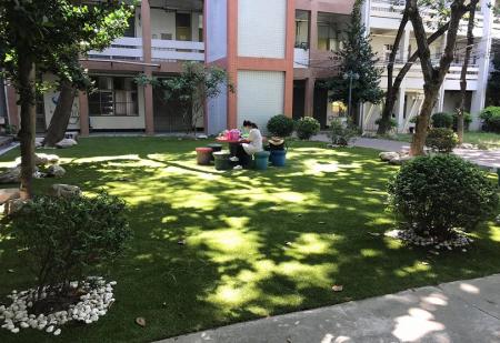 人工草皮/人造草皮