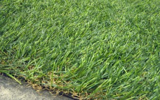 หญ้าเทียม