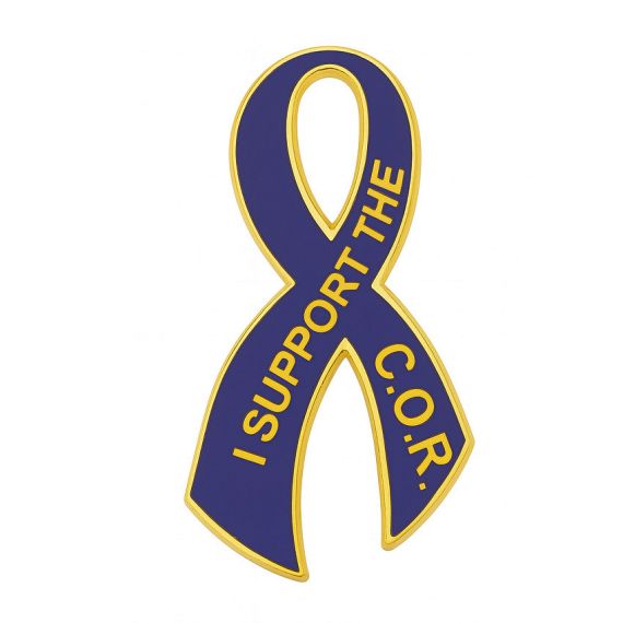 Custom gold plated awareness ribbon pins with enamel color