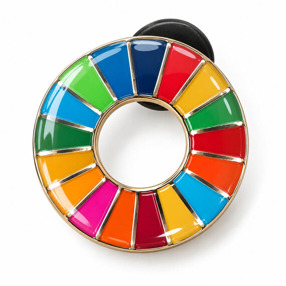 Customized Enamel SDG Lapel Pin with Epoxy Coating