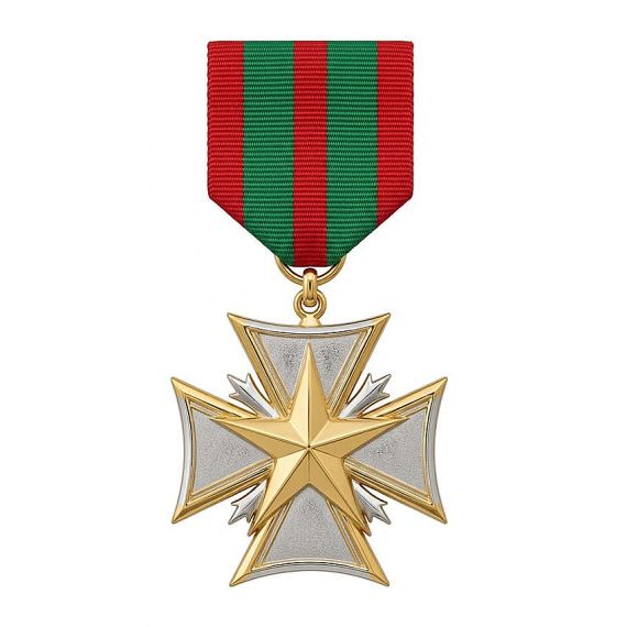 Gold and silver two-tone plated star medal with ribbon drape bar
