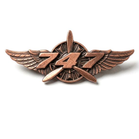 Vintage bronze 747 wings aviation lapel pin