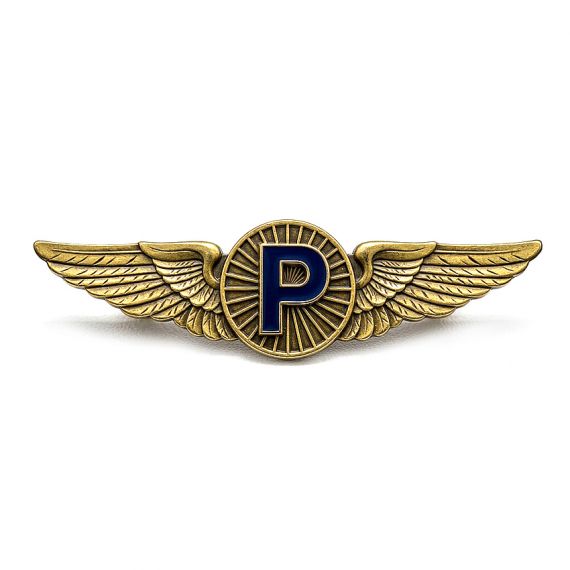 Antique brass pilot wings letter P pin