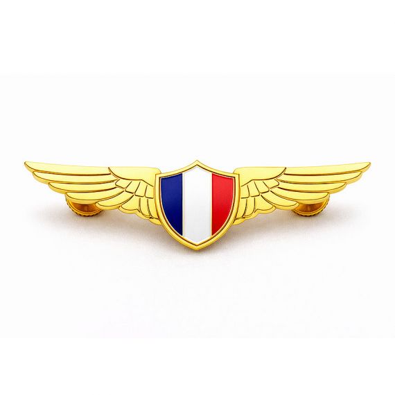 Gold pilot wings pin with French flag emblem